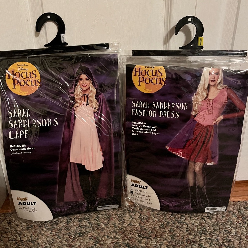 Sarah Sanderson Costume